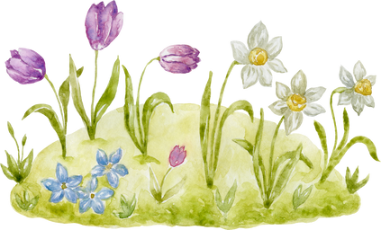 Watercolor Flowerbed with Daffodill and Tulip.