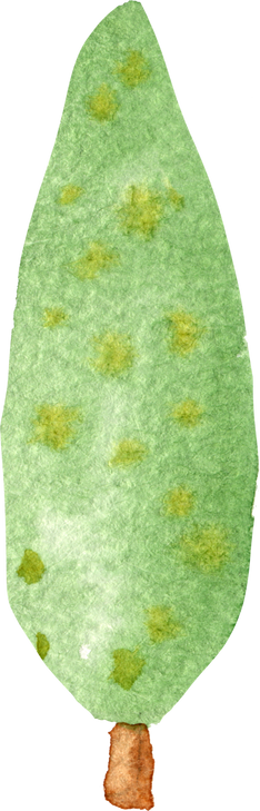 watercolor tree element
